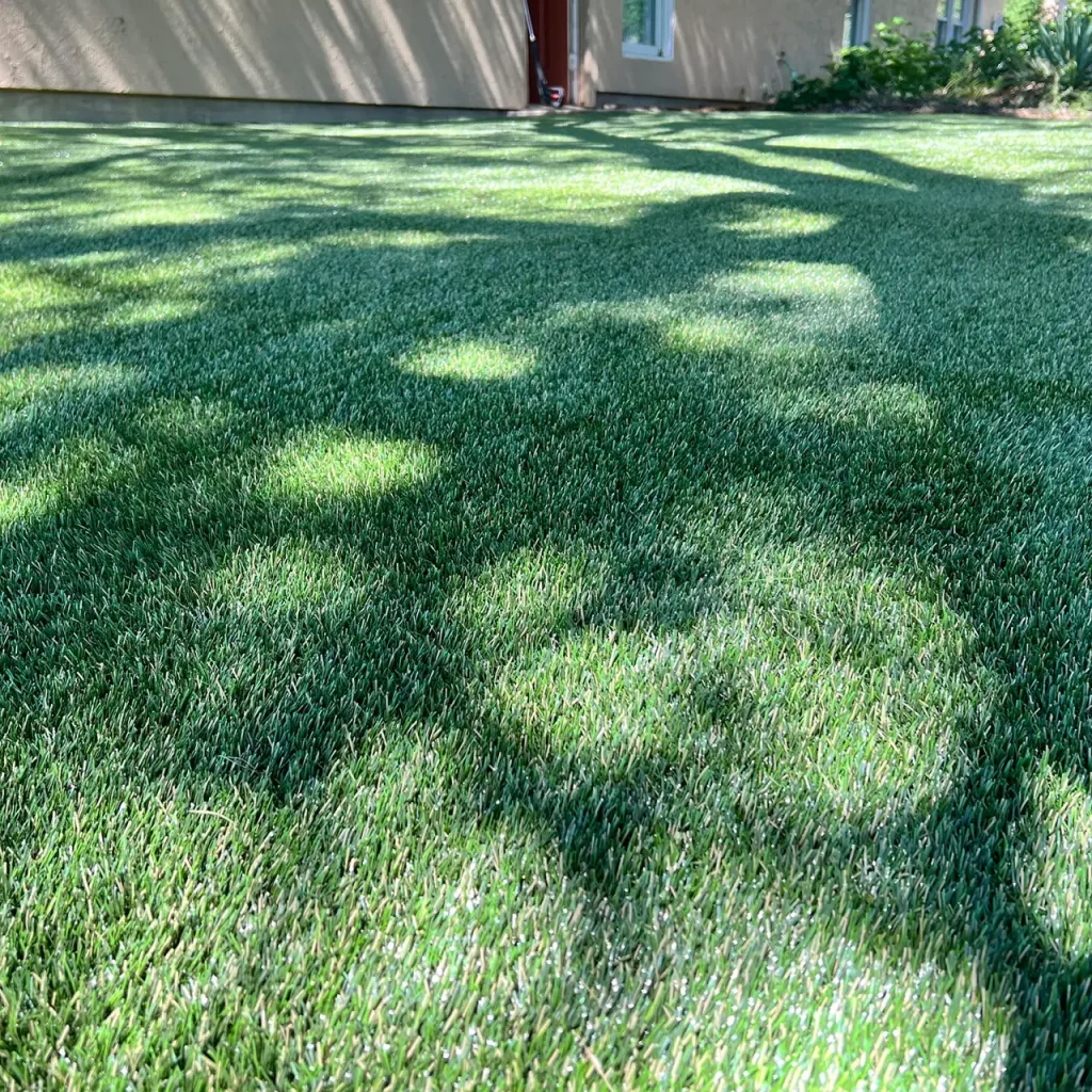 Pet Turf Installation Transforms a Shaded Brownwood Backyard