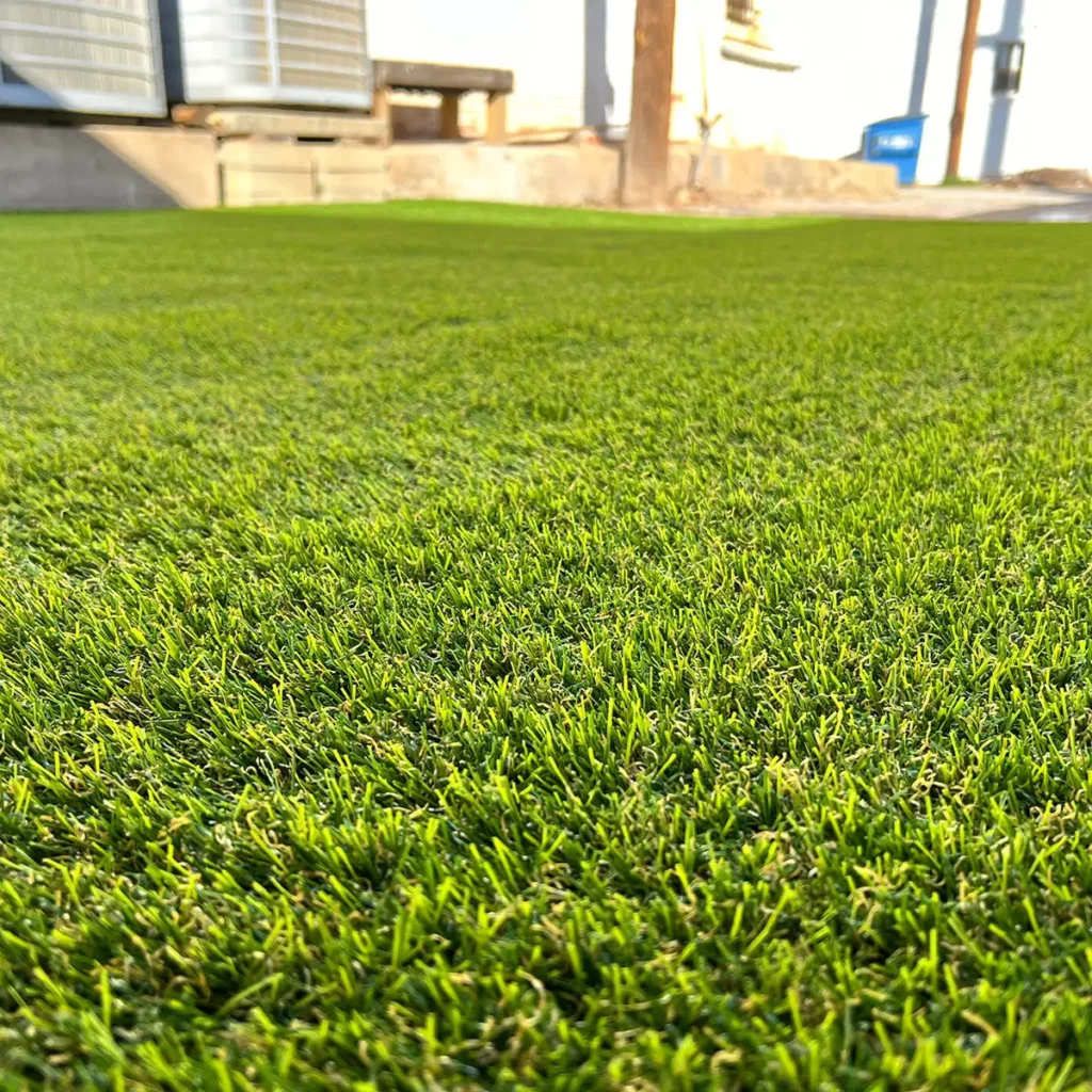K9Grass Installation: Perfect Play Space for Coleman Dogs