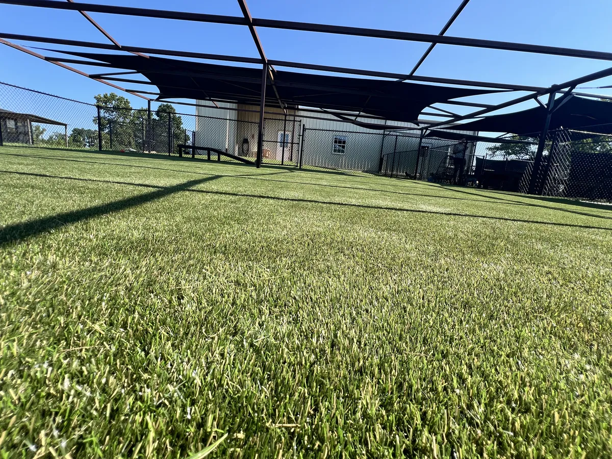 K9Grass Elite