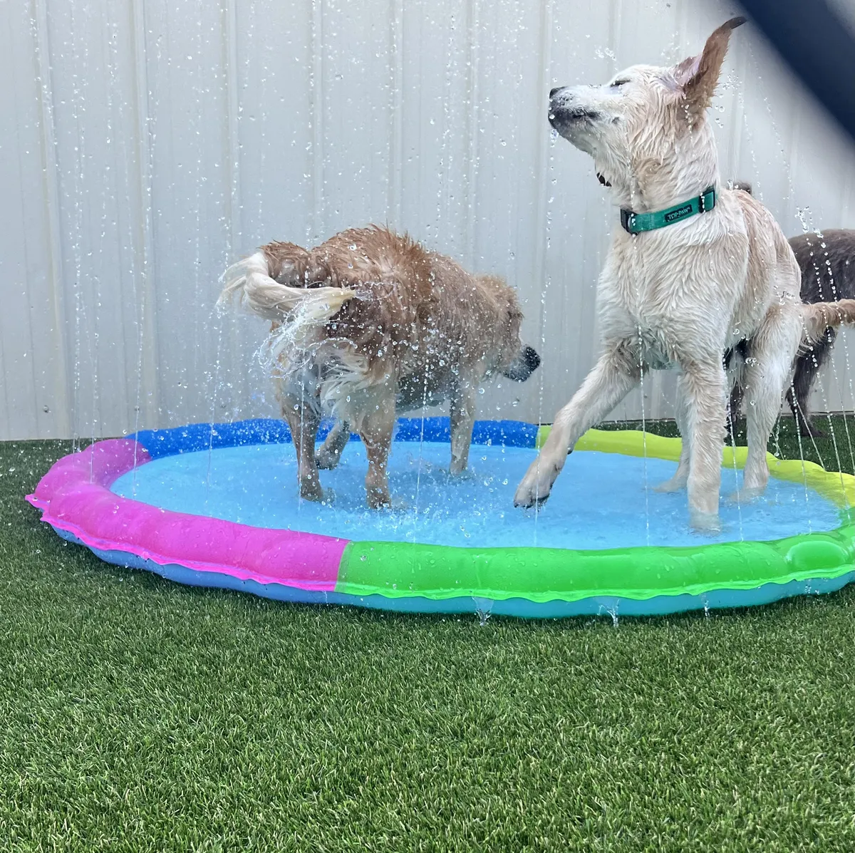 K9Grass Elite