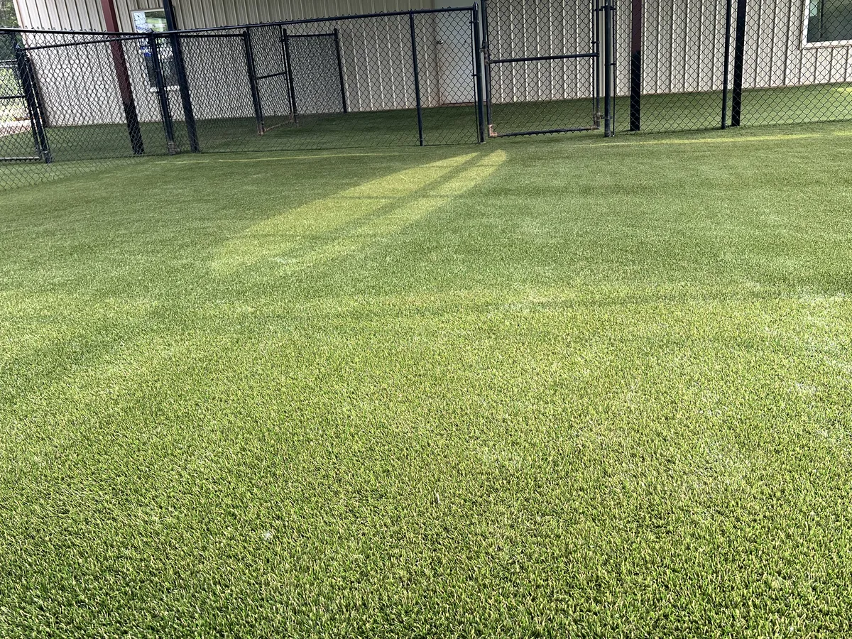 K9Grass Elite