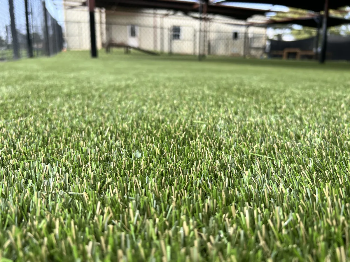 K9Grass Elite