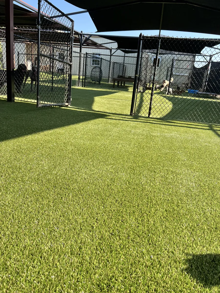 K9Grass Elite